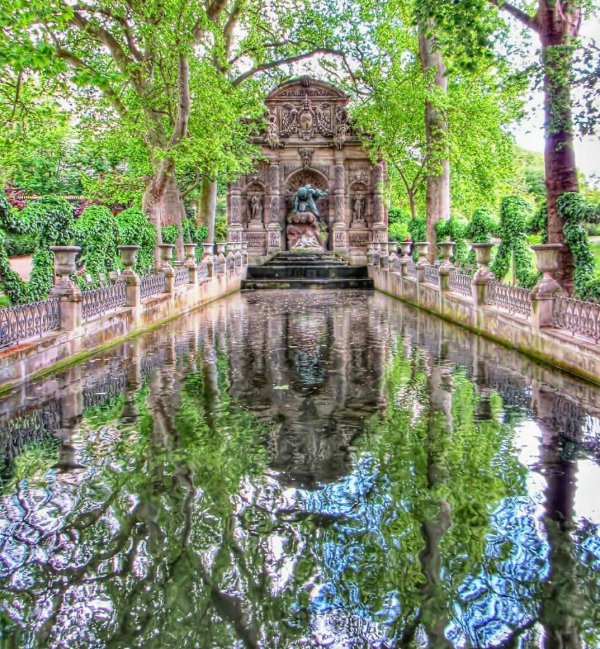 reflection, nature, water, tree, garden,