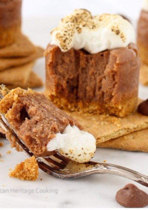 Mini Smores Milk Chocolate Cheesecakes