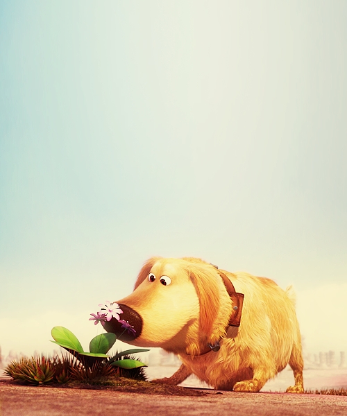 Dug from up!