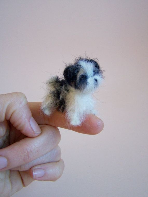 Itty Bitty Puppy