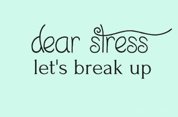 End the Stress