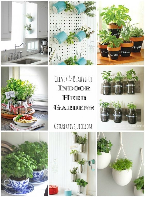 Indoor Herb Garden Ideas