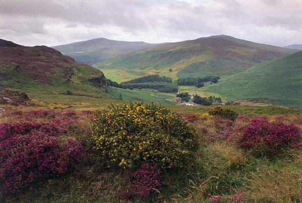 highland, vegetation, hill, wilderness, mountainous landforms,