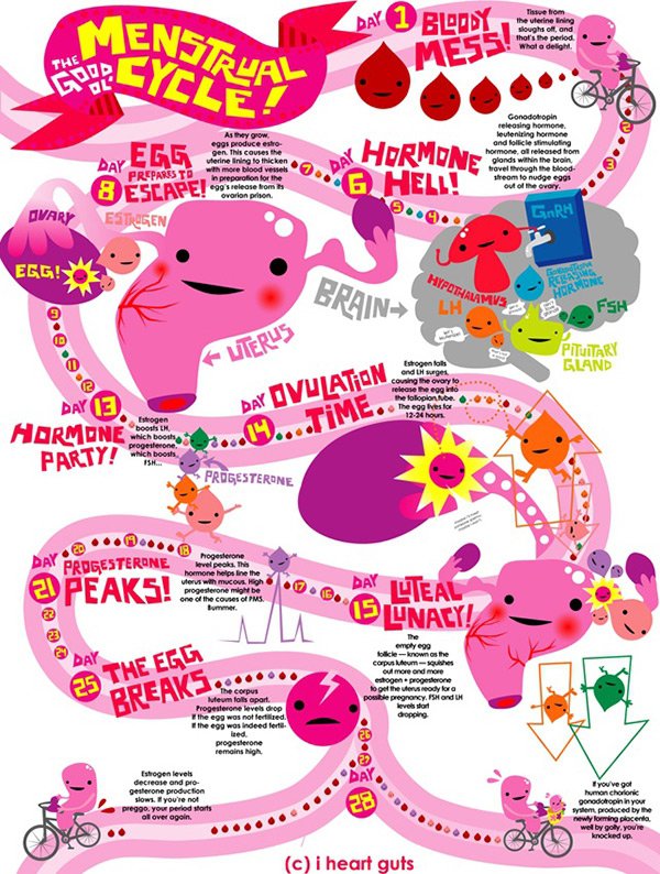 Understanding 'the Cycle'