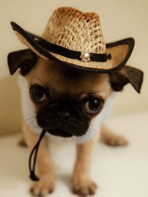 Cowboy Hat