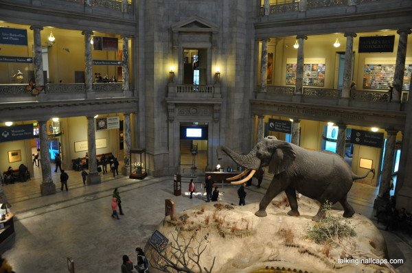 Smithsonian National Museum of Natural History