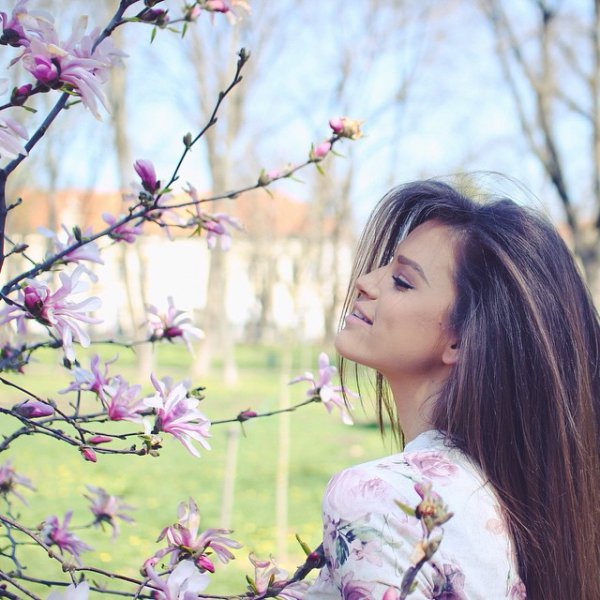 flower, blossom, plant, pink, branch,