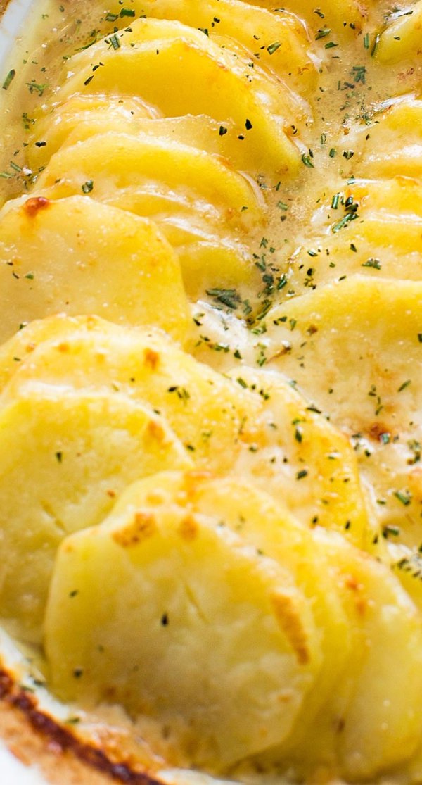 food, dish, produce, plant, land plant,