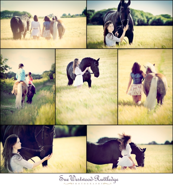 Equine Photo Shoot