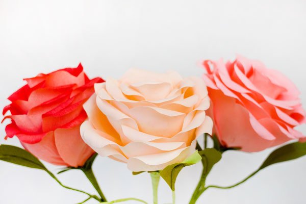 Crepe Paper Rose