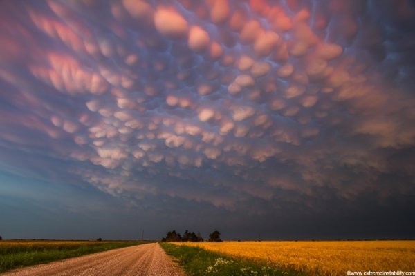 The Strange Mammatus Clouds