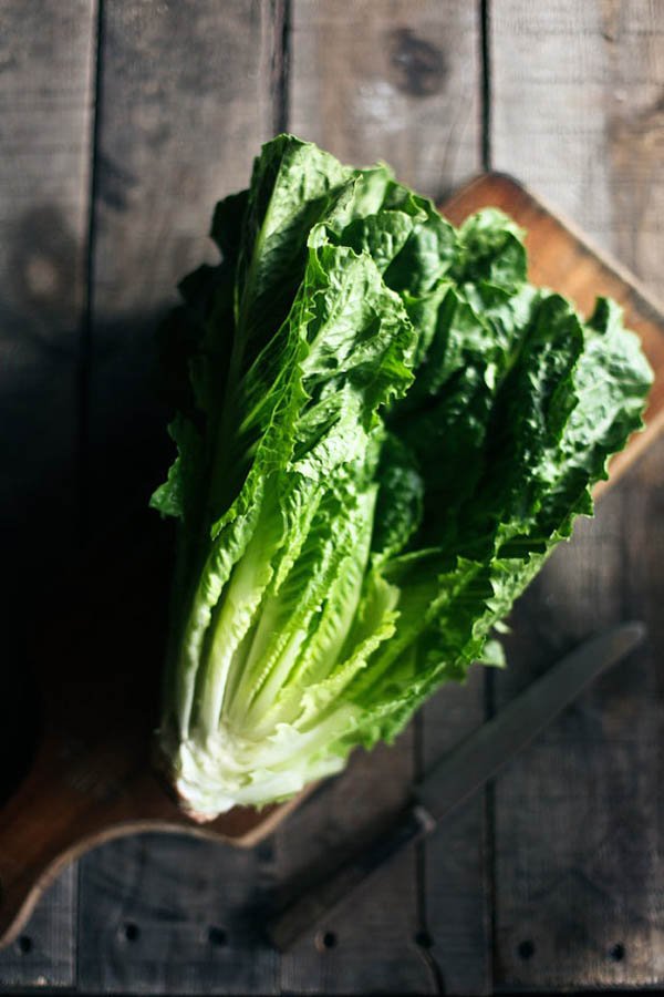 Romaine