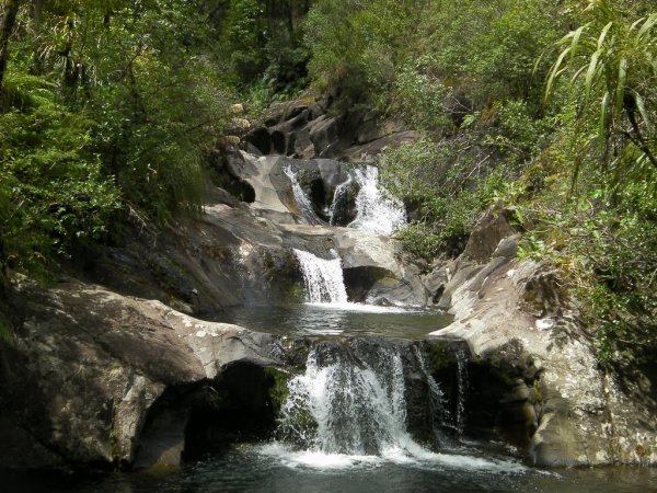 Rapaura Water Gardens