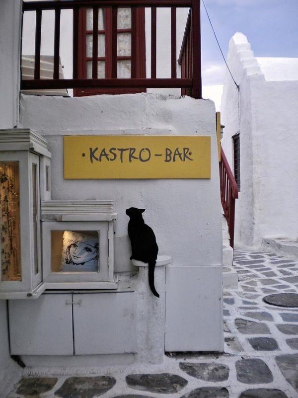 Sample Mykonos Nightlife