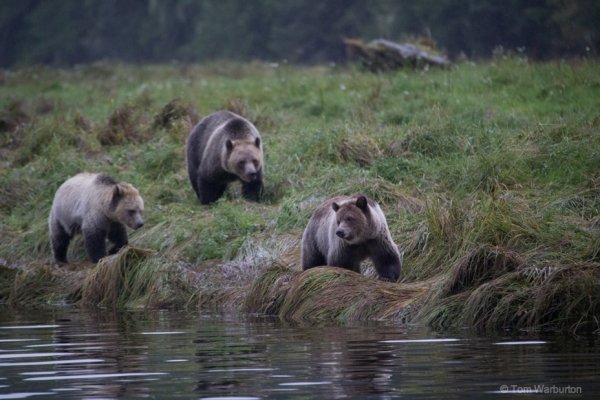 British Columbia, Canada