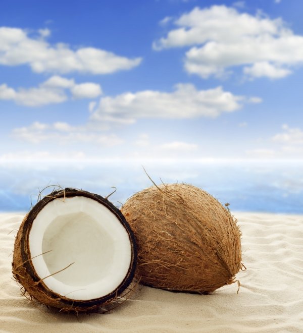 Coconut