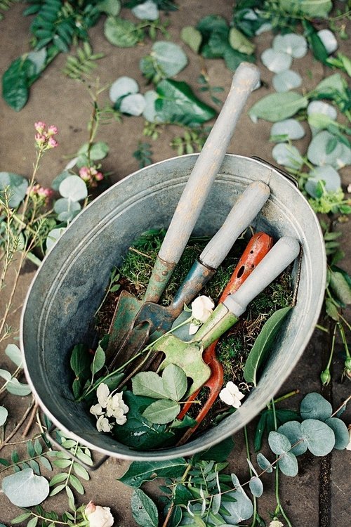 Weed the Garden for 20 Minutes