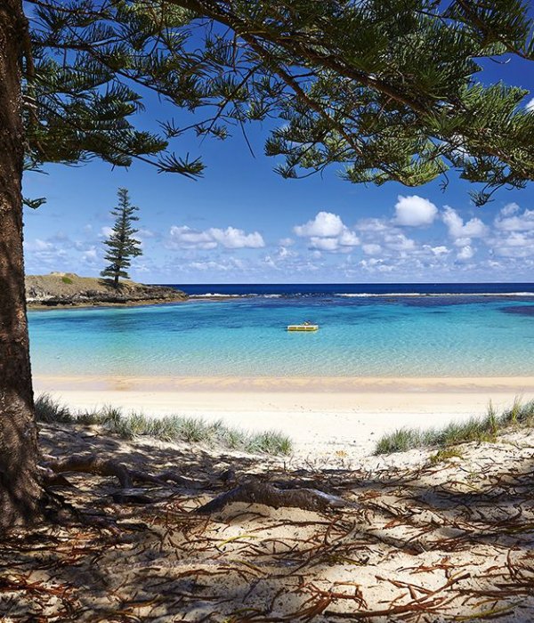 shore,nature,body of water,tree,beach,