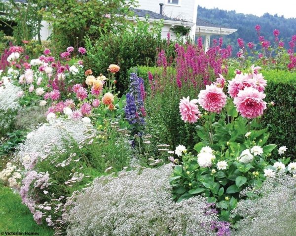 Ground Cover