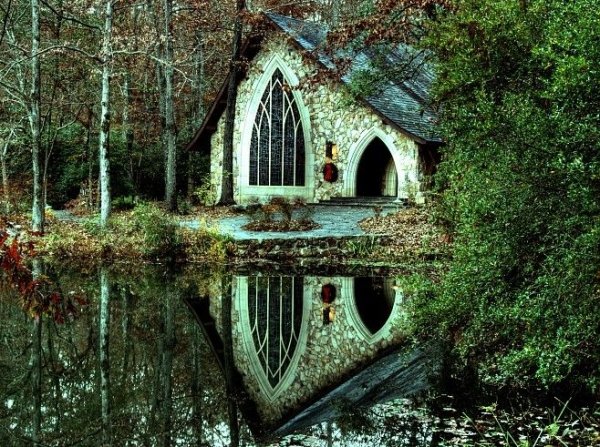 Callaway Gardens,habitat,natural environment,forest,woodland,