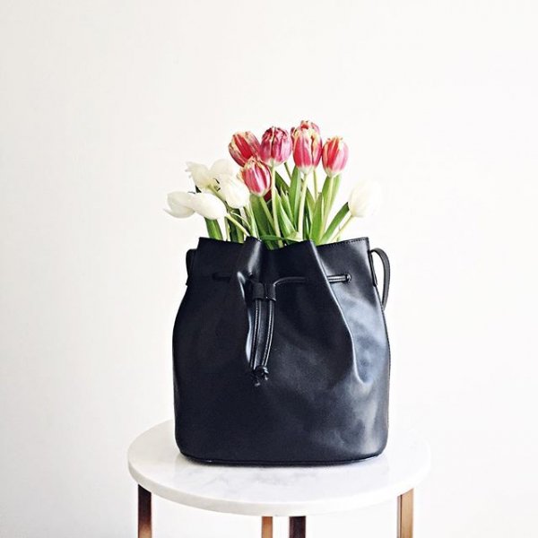 bag, footwear, flower, handbag, shoe,