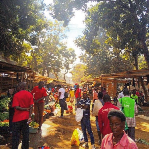 public space, tree, crowd, community, marketplace,