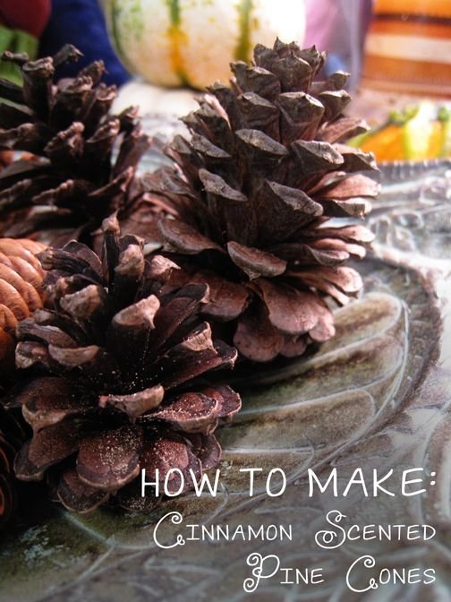 Cinnamon Scented Pine Cones