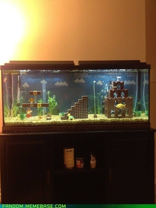 aquarium,display device,freshwater aquarium,screenshot,FANDOM,