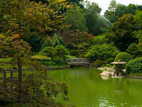 Brooklyn Botanical Garden