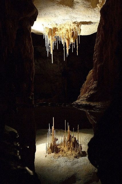 Stalactites Alexandra Cave, Naracoorte Caves National Park, Australia