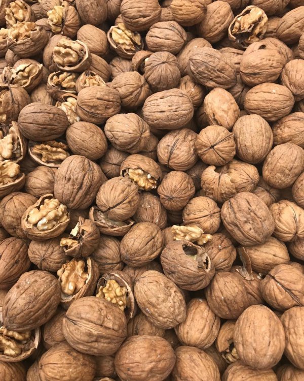 Walnut, Nut, Natural foods, Nuts & seeds, Food,