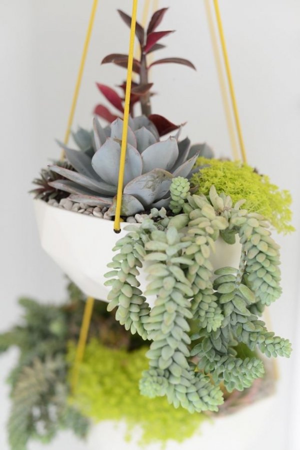 flower arranging,floristry,flower,floral design,christmas decoration,