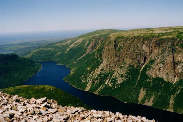 Whale Spotting at Gros Morne National Park