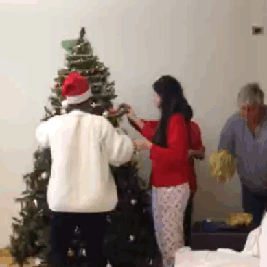 Putting up the Christmas Tree