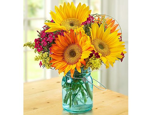 flower,plant,gerbera,flower arranging,yellow,