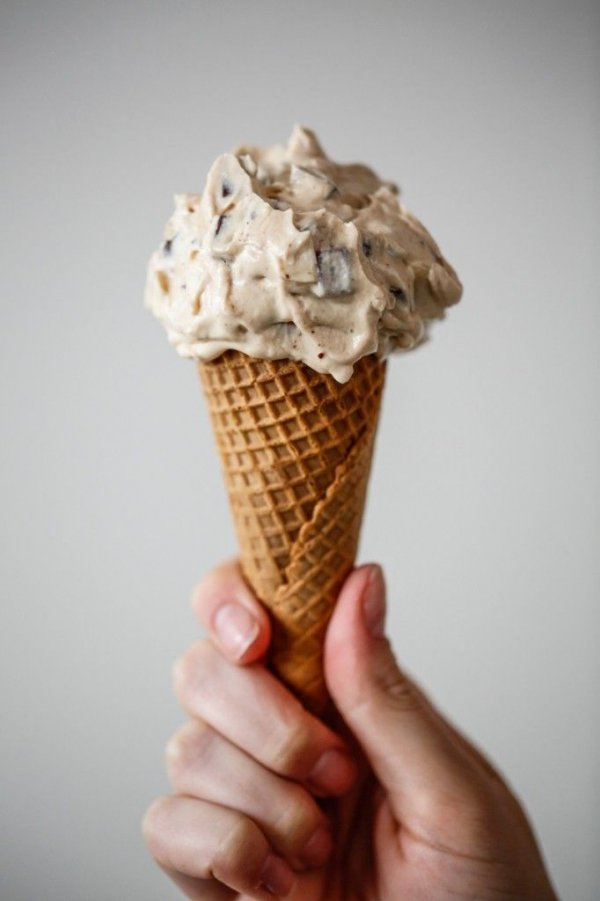 Peanut Butter Chocolate Chunk Frozen Yogurt