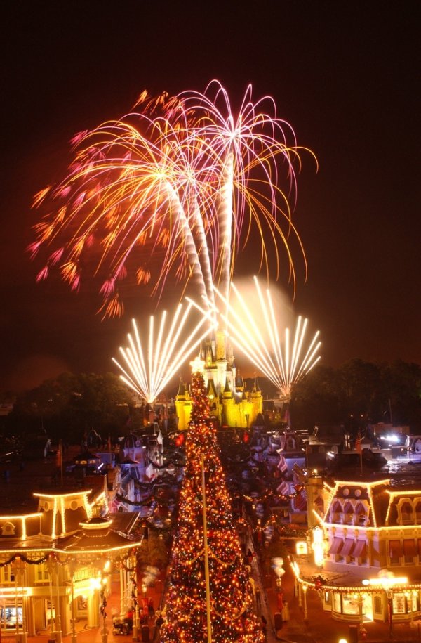 FireWorks on a Cold Night