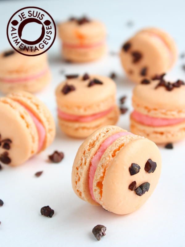 macaroon, dessert, food, baking, petit four,