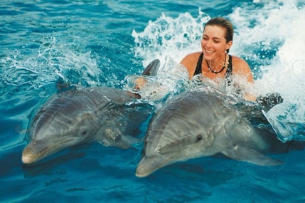 Swim with Dolphins in Mauritius