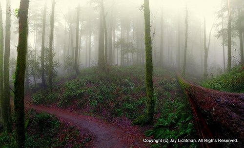 Portland, Oregon