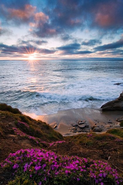 La Jolla Cove, La Jolla, Ca