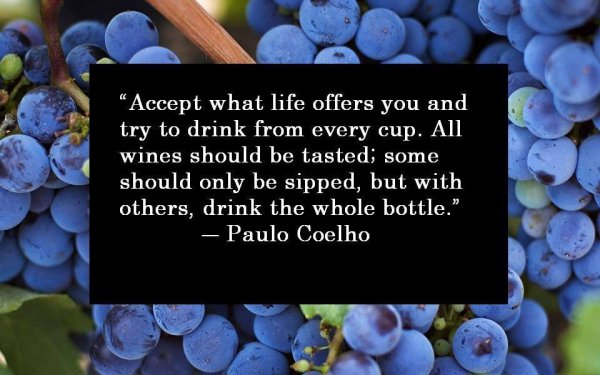 8 Paulo Coelho Quotes That Will Inspire You to Live Life to the Fullest, by Jack Krier