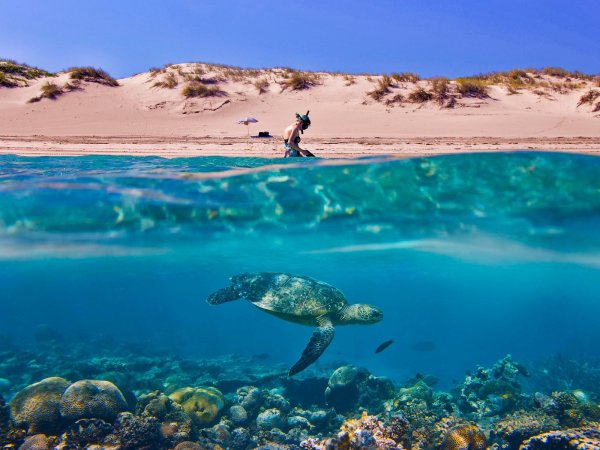 Ningaloo Reef, Western Australia