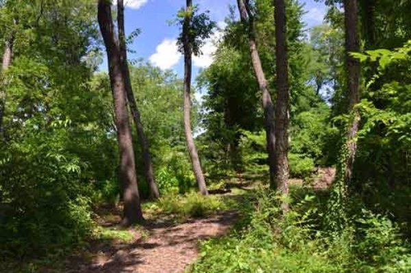 Hallett Nature Sanctuary