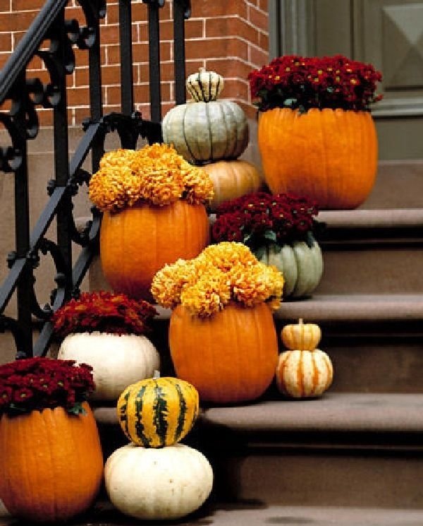 Pumpkins + Mums