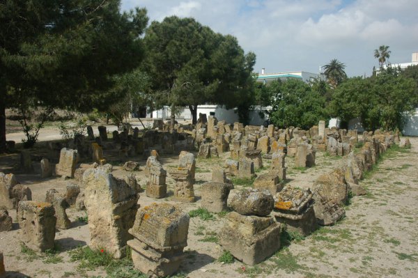 historic site, cemetery, archaeological site, tree,