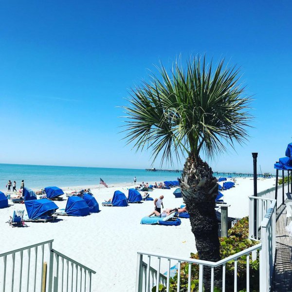 sea, arecales, palm tree, sky, tree,