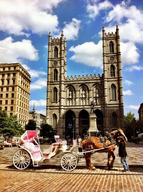 Notre-Dame Basilica,Notre Dame Basilica,Montreal,Université de Montréal,landmark,