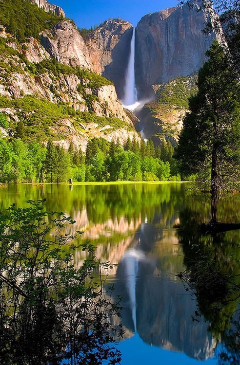 Yosemite Falls- Yosemite National Park, California