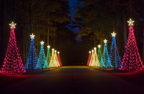 Trip the Light Show Fantastic at Callaway Gardens, Georgia, USA